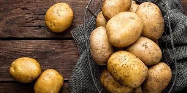 تصویر 4 از خرید و قیمت سیب زمینی فیروزکوه + فروش صادراتی